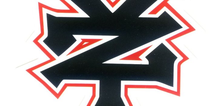 954x1015 1732 ZOO YORK Skateboards Brand Logo, 7 x 8 cm decal sticker