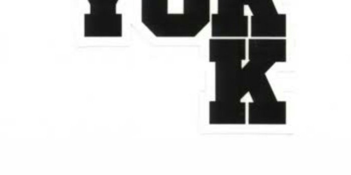 1107x1965 Zoo York Wallpapers (53+ pictures)