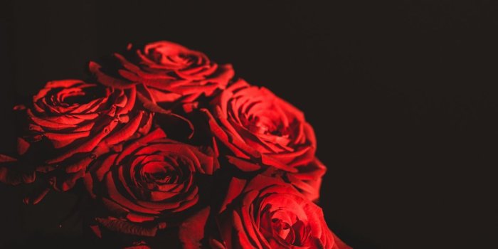 1350x2400 Download wallpaper 1350x2400 roses, bouquet, flowers, dark, red