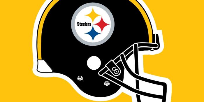 1365x1024 Free download Pittsburgh Steelers Helmut [1365x1024] for your