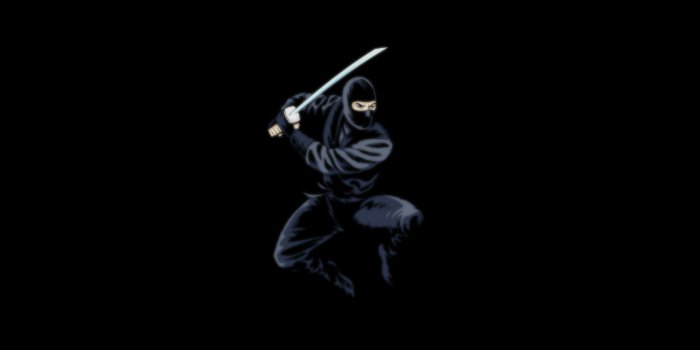 1920x1200 Ninja Wallpapers ·① WallpaperTag