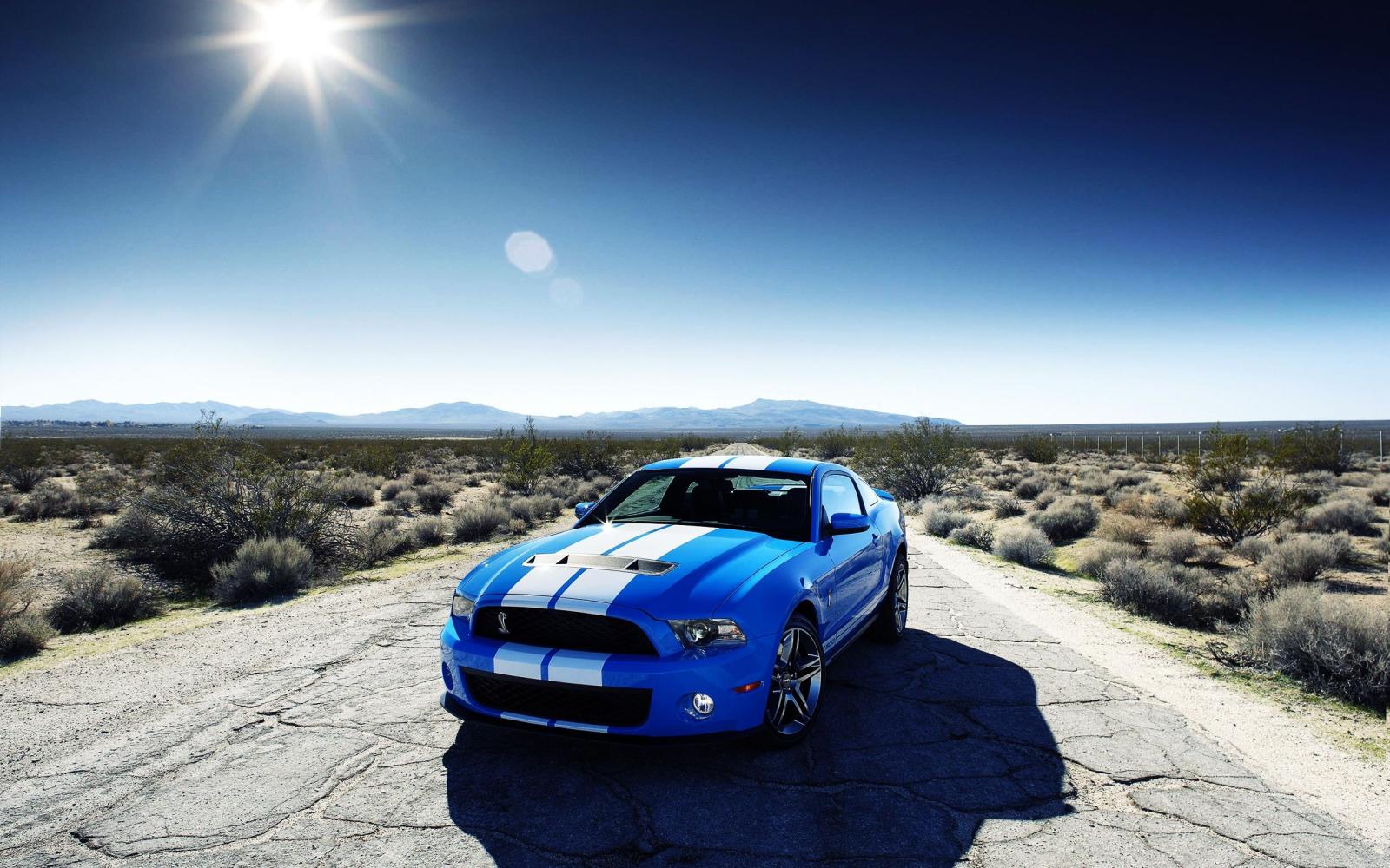 2560x1600 Car Wallpaper - Ford Mustang Hd Background - 2560x1600 Wallpaper