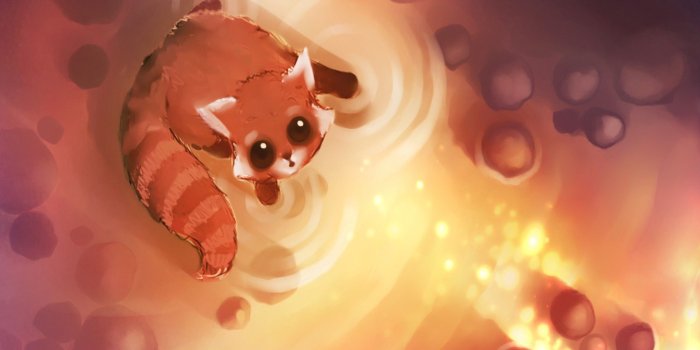 2560x1600 red Panda Wallpapers HD / Desktop and Mobile Backgrounds