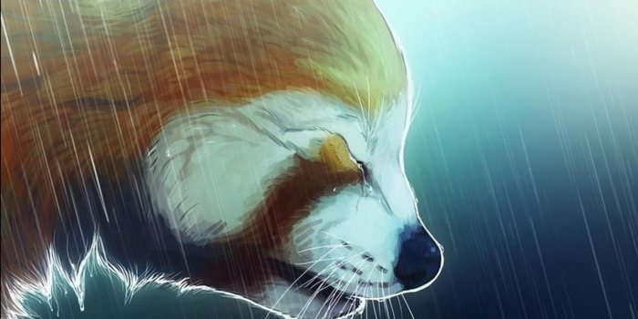 1280x1024 Anime Red Panda Wallpapers