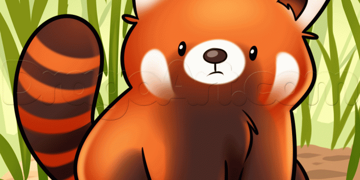 976x888 Red Panda Cute Cartoon Wallpapers - Top Free Red Panda Cute