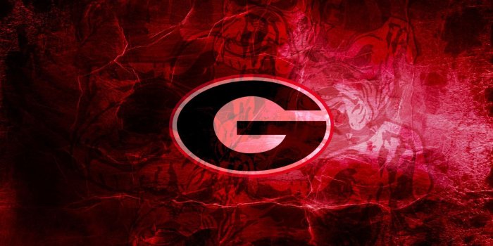 1600x1200 Georgia Bulldogs Wallpapers - Top Free Georgia Bulldogs