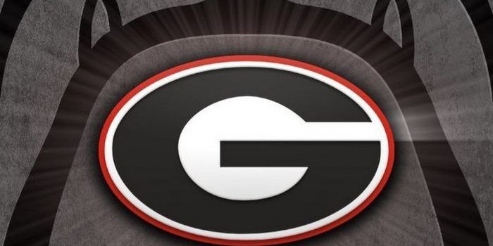 700x1244 Georgia Bulldogs iPhone Wallpaper | Bulldog wallpaper, Georgia