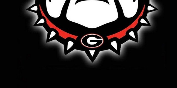 1080x1920 54+ Ga Bulldogs Wallpapers on WallpaperPlay
