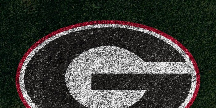 1080x1920 Georgia Bulldogs Logo Wallpaper (65+ images)