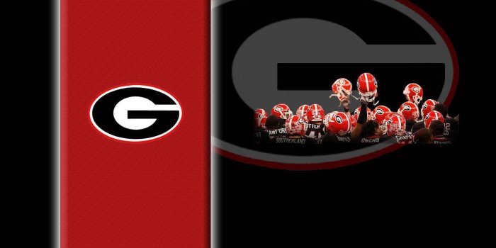 1440x900 Georgia Bulldogs Wallpapers