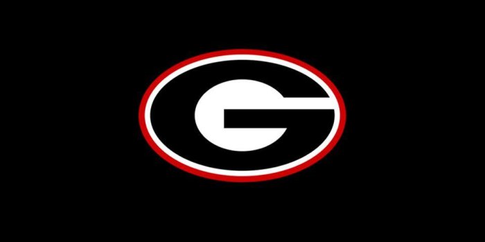 960x854 Georgia Bulldogs Wallpapers