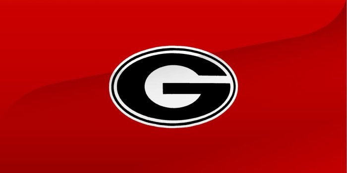 1600x1200 Georgia Bulldogs wallpaper | 1600x1200 | #8772