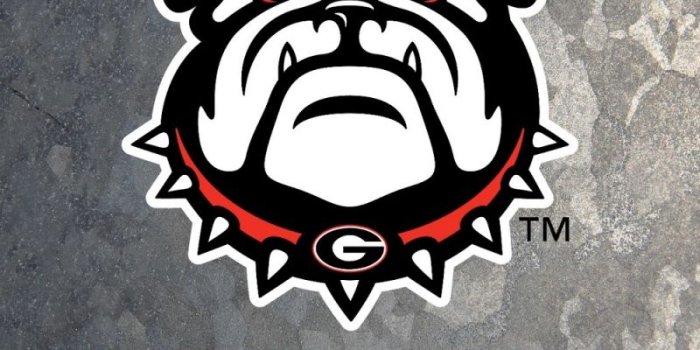 800x1280 Free download Georgia Bulldogs Wallpaper 2013 4s wallpaper with