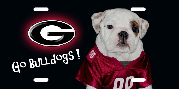 1400x700 GEORGIA BULLDOGS college football wallpaper | 2560x1280 | 592826