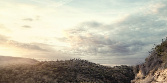 1595x2534 I photoshopped the Roadster photo a bit to create a mobile