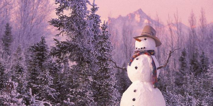 1600x900 Free download Snowman Desktop Backgrounds Snowman Photos Snowman