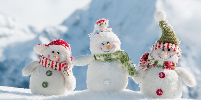 1920x1200 Free download Country Snowman Desktop Wallpaper 1920x1200 px