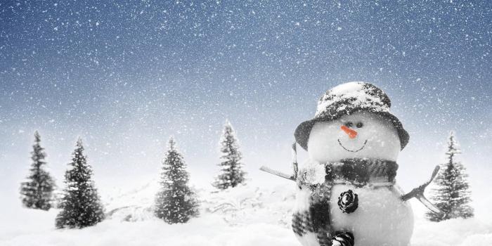 2560x1600 Real Winter Snowman Wallpaper