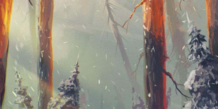 1080x1920 Fox Wallpaper (77+ images)