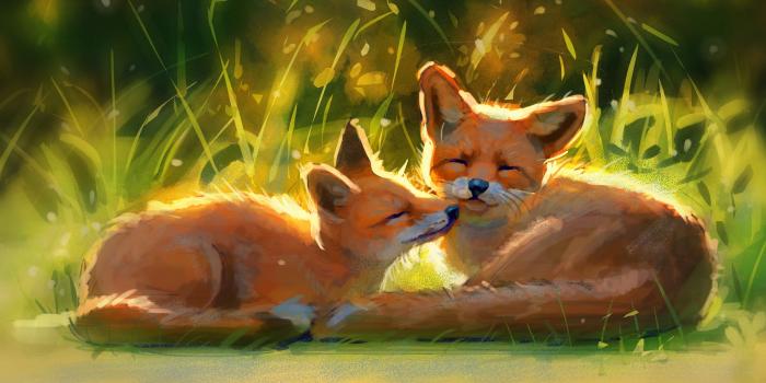 3840x2160 foxes 4K wallpapers for your desktop or mobile screen free and