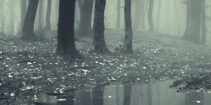 720x1280 Black and white HD Wallpapers for Galaxy S3 | Wallpapers.Pictures