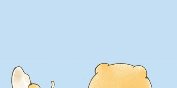 960x1707 Cooking lion | Cute cartoon wallpapers, Cute wallpapers, Kakao friends