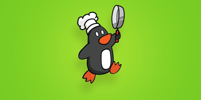 1920x1080 Penguin holding cooking pan illustration, Ephixa, vector art