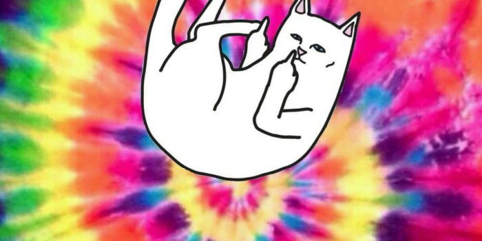 1196x1792 Most current Images Ripndip Wallpaper Hd – (42+ images) Style