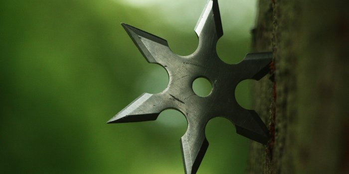 1944x1296 Download Close up Ninjas Wallpaper 1944x1296 | Wallpoper #423572