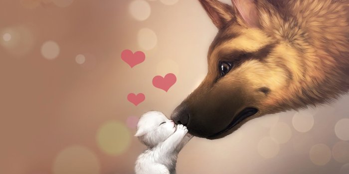 1920x1080 Desktop cute cat and dog wallpaper download