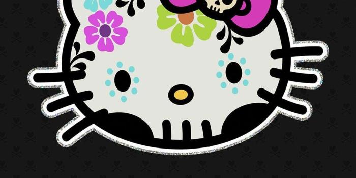 1080x1920 3632 Best Hello Kitty Wallpapers images in 2020 | Hello kitty
