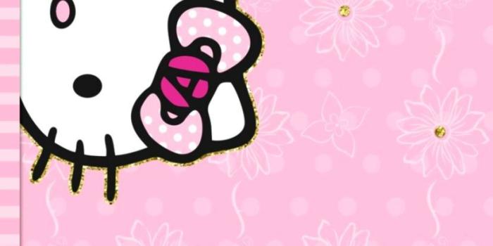 828x1520 Pin By Mimi F On Hello Kitty Cell Phone Wallpaper Hello - Android