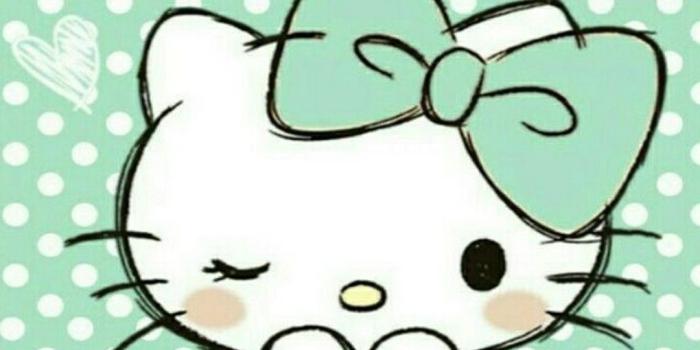 1080x1920 Hello Kitty Wallpaper For Android - 2020 Android Wallpapers