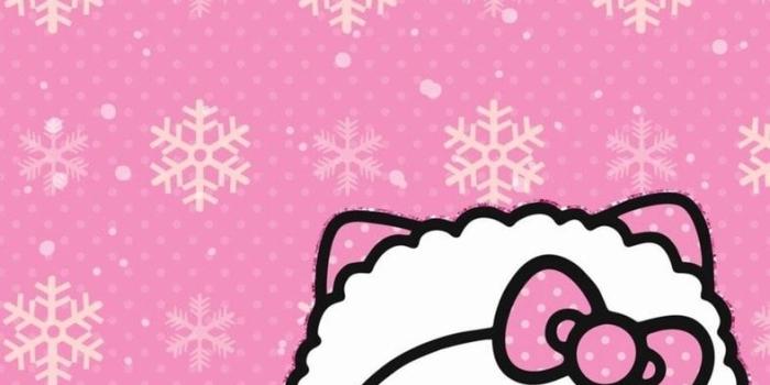 787x1280 Hello Kitty discovered by Jani on We Heart It