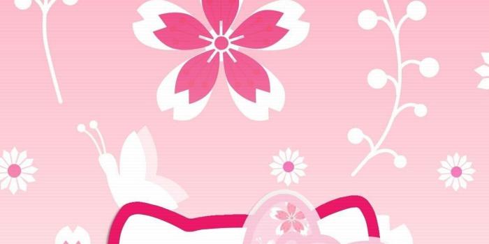 1152x2048 Cute Wallpapers of Hello Kitty (78+ pictures)