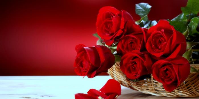 2880x1800 Red Roses Desktop Flowers Wallpaper - Most Beautiful Love Flowers