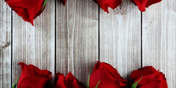 1357x1024 Wallpaper Red Roses Flowers Closeup Wood planks Boards #roses