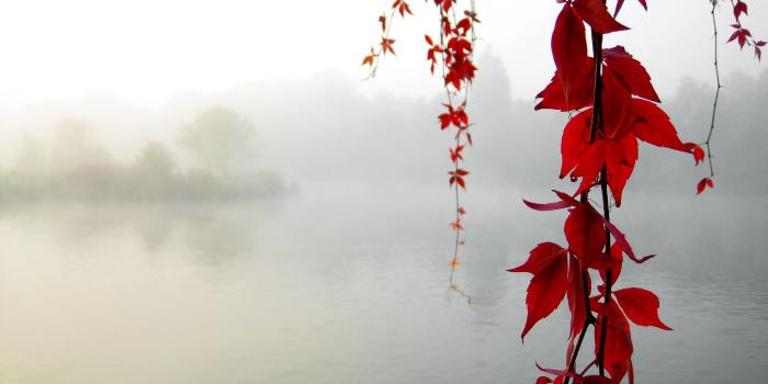 3072x2304 3d red flower wallpapers red flowers photography elegant wallpaper