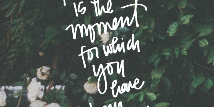 2667x4733 Bible Verse Wallpapers For Mobiles