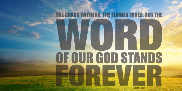 1920x1080 Free download Bible Quote Wallpapers [1920x1080] for your Desktop