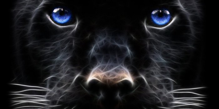 1920x1440 102 Black Panther HD Wallpapers | Background Images
