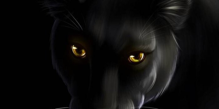 720x1280 Black panther wallpaper by georgekev - 70 - Free on ZEDGE™