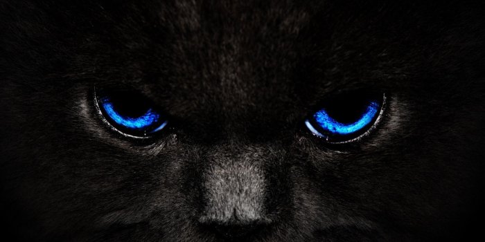 1920x1080 Black Panther Blue Eyes Wallpaper (60+ images)