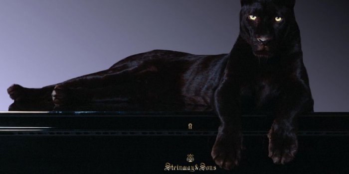 1920x1080 Black Panther wallpaper | 1920x1080 | #45761