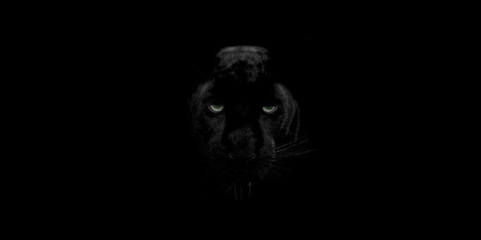 1280x720 1280x720 Green Eyes Black Panther 720P HD 4k Wallpapers, Images