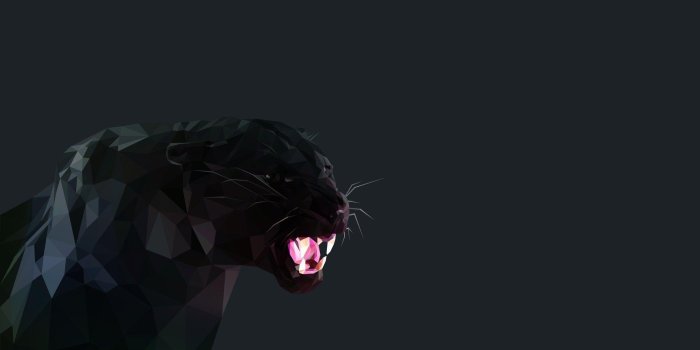 2400x1350 Black Panther Animal Wallpapers