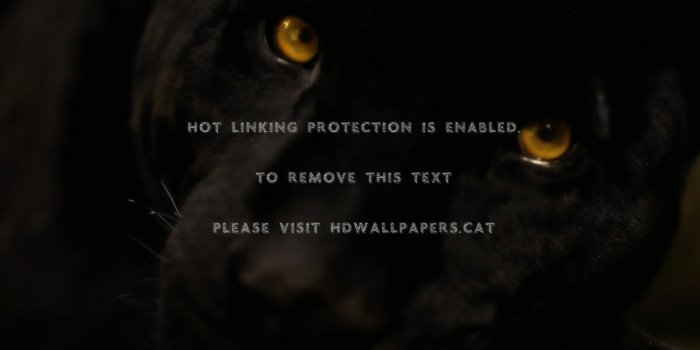 1920x1080 black panther cat eyes yellow animals