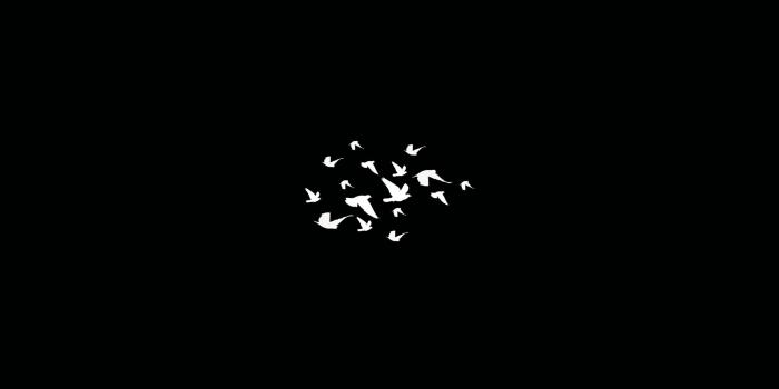 2048x1152 2048x1152 Birds Flying Minimalist Dark 4k 2048x1152 Resolution HD