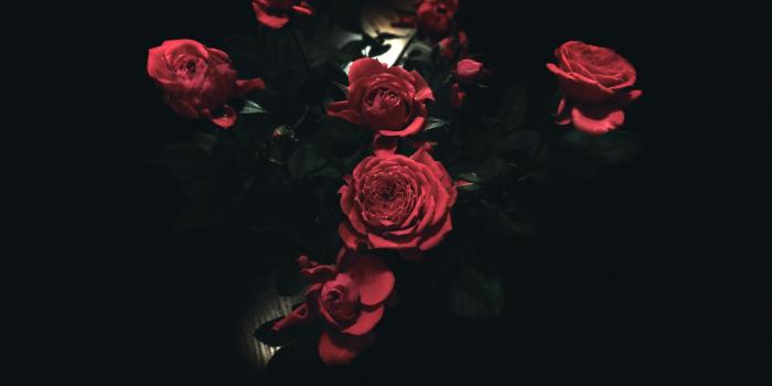 2048x1151 HD Neon Wallpapers HD, Desktop Backgrounds , Images and 2048×1152