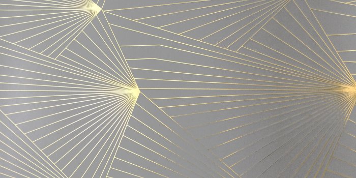 2448x3264 Gold Zinc Grey - Spider Web, Download Wallpapers on Jakpost.travel